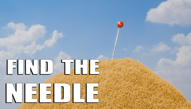 Find The Needle official promotional artwork